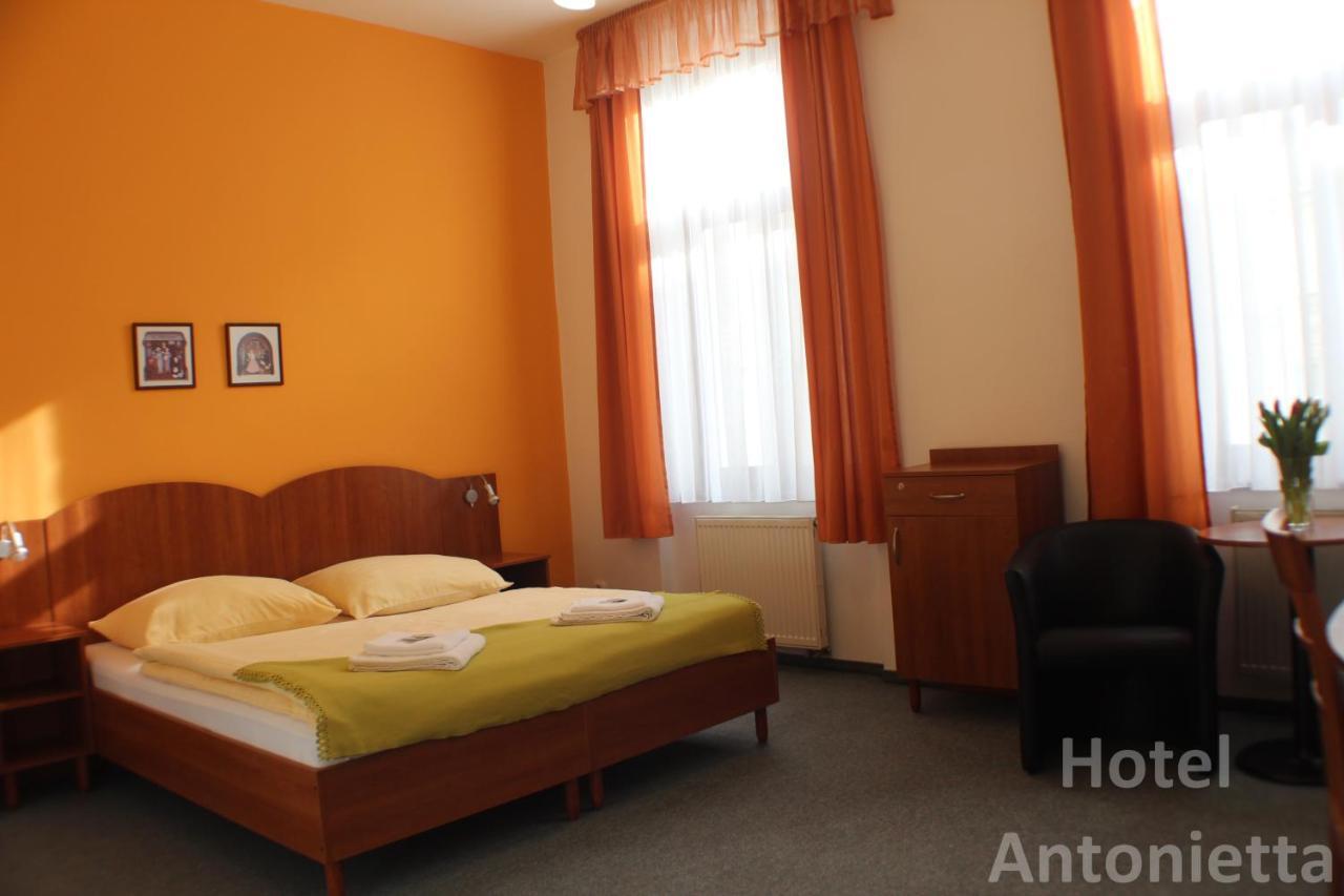 Hotel Antonietta Teplice Kültér fotó