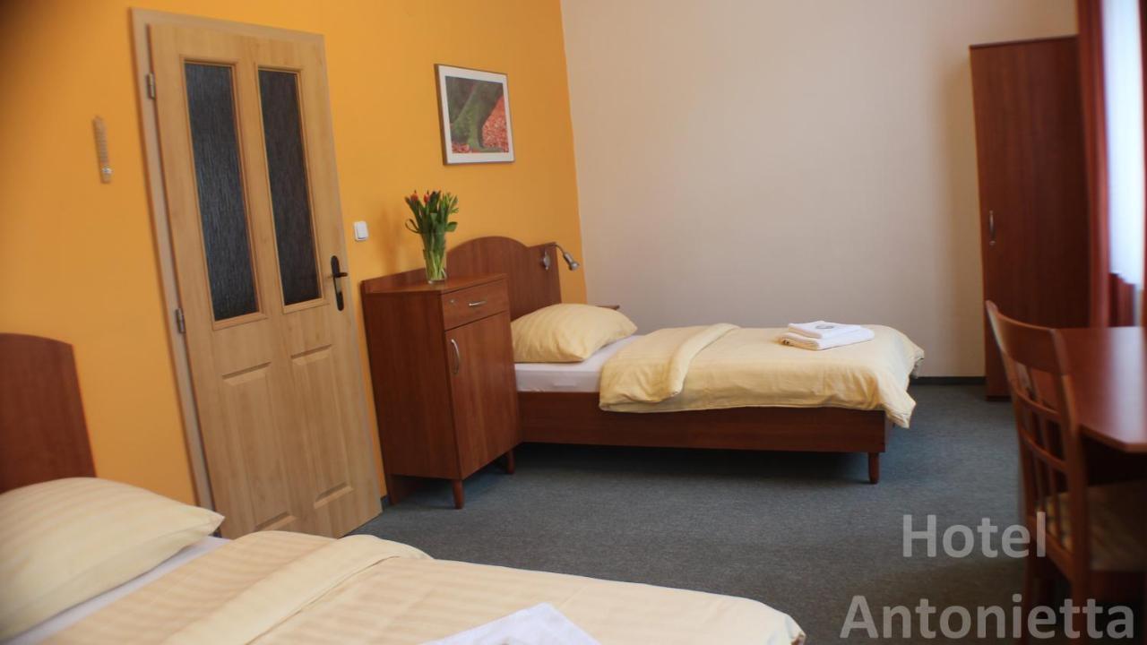Hotel Antonietta Teplice Kültér fotó