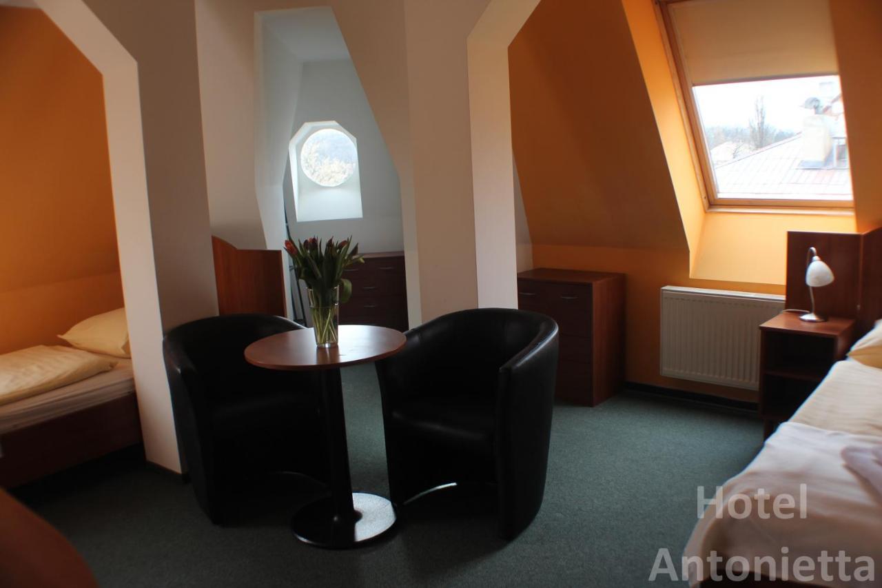 Hotel Antonietta Teplice Kültér fotó