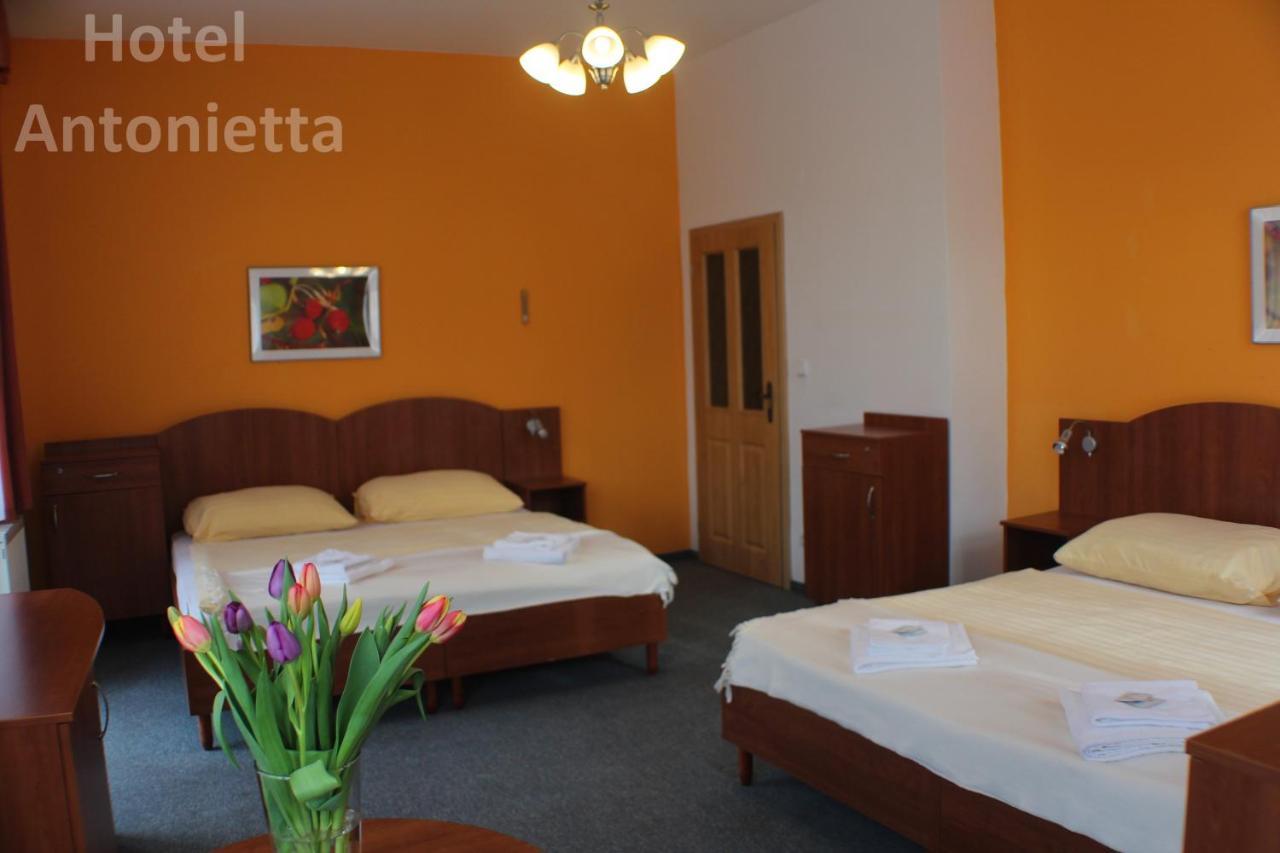 Hotel Antonietta Teplice Kültér fotó