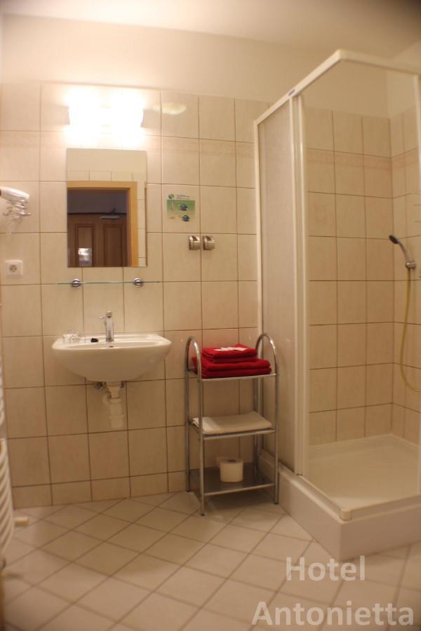 Hotel Antonietta Teplice Szoba fotó